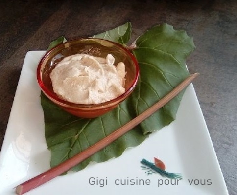 sorbet à la rhubarbe au compact cook pro
